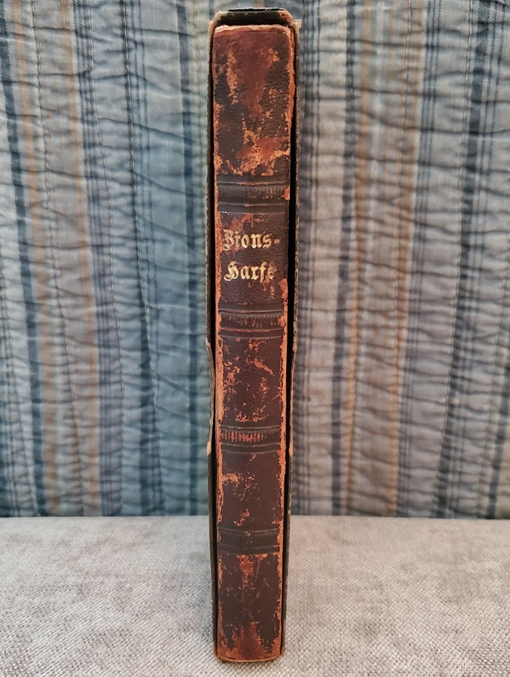Bionsharfe German Songbook 1894